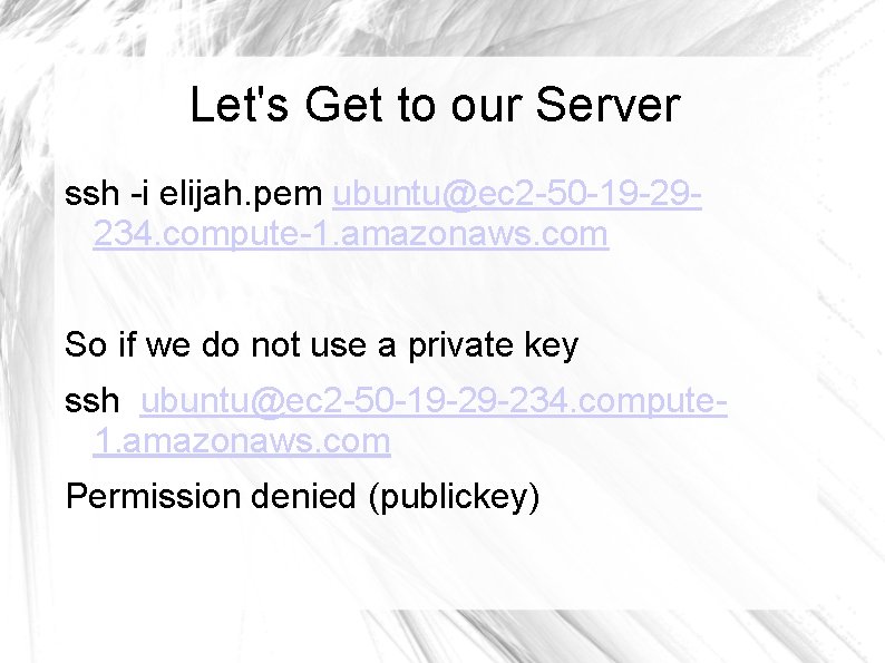 Let's Get to our Server ssh -i elijah. pem ubuntu@ec 2 -50 -19 -29234.