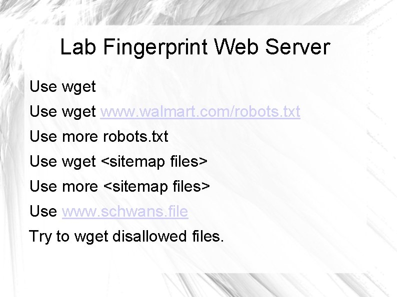 Lab Fingerprint Web Server Use wget www. walmart. com/robots. txt Use more robots. txt