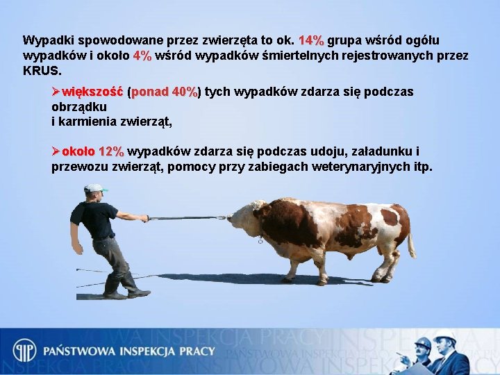 Wypadki spowodowane przez zwierzęta to ok. 14% grupa wśród ogółu 14% wypadków i około