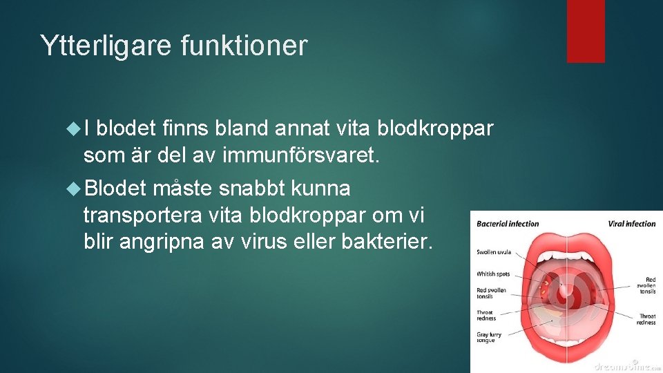 Ytterligare funktioner I blodet finns bland annat vita blodkroppar som är del av immunförsvaret.