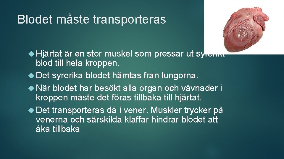 Blodet måste transporteras Hjärtat är en stor muskel som pressar ut syrerikt blod till