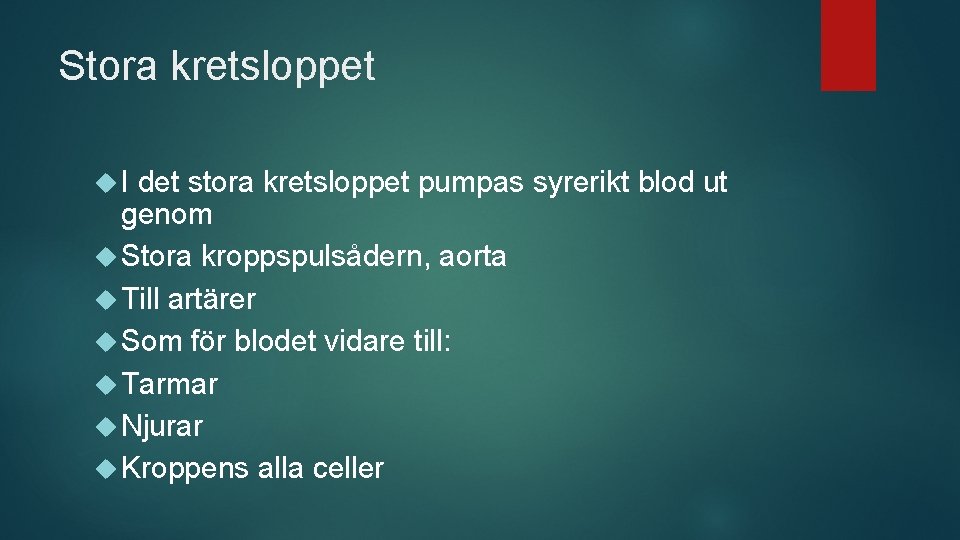 Stora kretsloppet I det stora kretsloppet pumpas syrerikt blod ut genom Stora kroppspulsådern, aorta