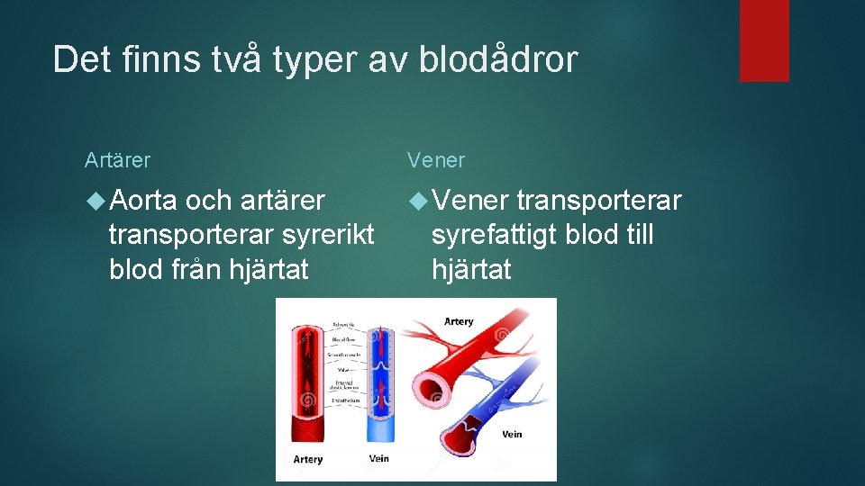 Det finns två typer av blodådror Artärer Vener Aorta Vener och artärer transporterar syrerikt