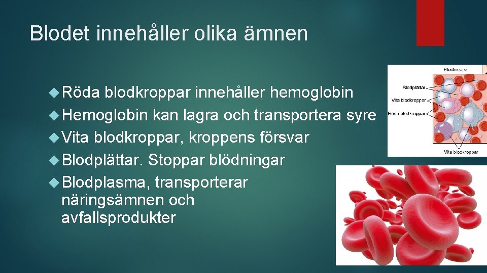 Blodet innehåller olika ämnen Röda blodkroppar innehåller hemoglobin Hemoglobin kan lagra och transportera syre
