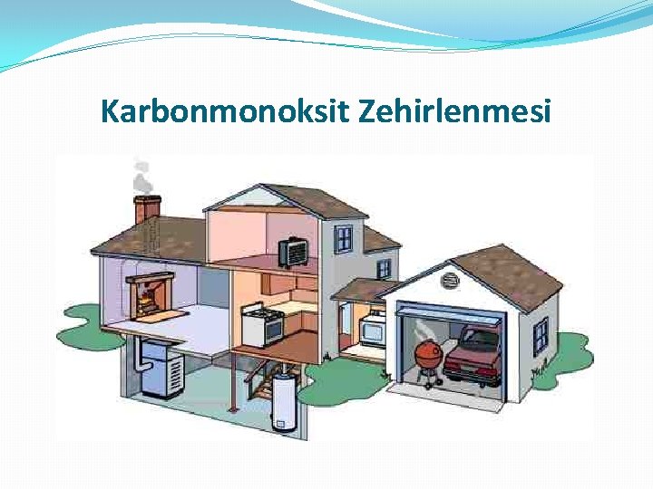 Karbonmonoksit Zehirlenmesi 