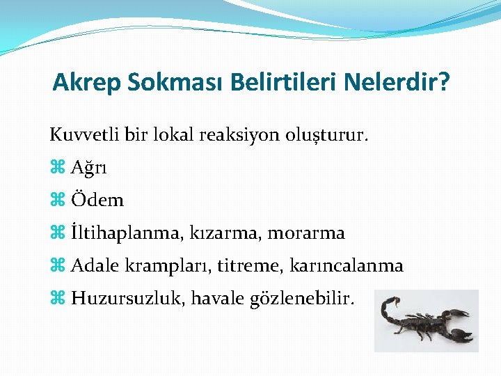 Akrep Sokması Belirtileri Nelerdir? Kuvvetli bir lokal reaksiyon oluşturur. Ağrı Ödem İltihaplanma, kızarma, morarma