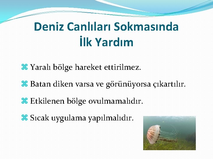 Deniz Canlıları Sokmasında İlk Yardım Yaralı bölge hareket ettirilmez. Batan diken varsa ve görünüyorsa