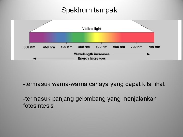 Spektrum tampak -termasuk warna-warna cahaya yang dapat kita lihat -termasuk panjang gelombang yang menjalankan