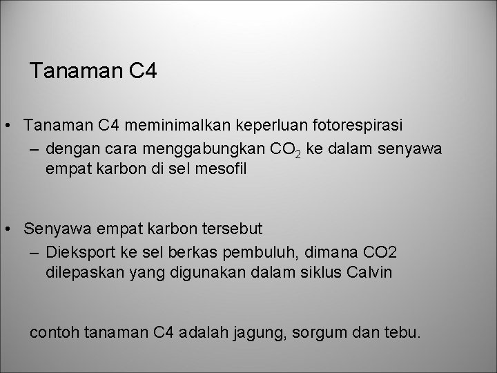 Tanaman C 4 • Tanaman C 4 meminimalkan keperluan fotorespirasi – dengan cara menggabungkan