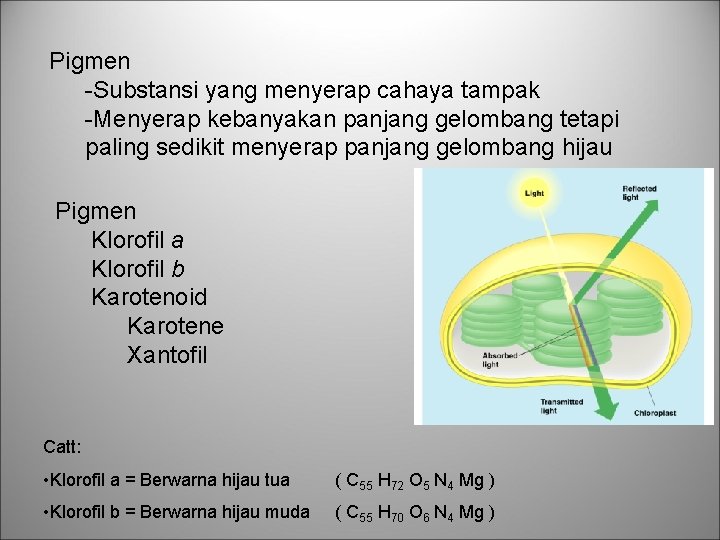 Pigmen -Substansi yang menyerap cahaya tampak -Menyerap kebanyakan panjang gelombang tetapi paling sedikit menyerap