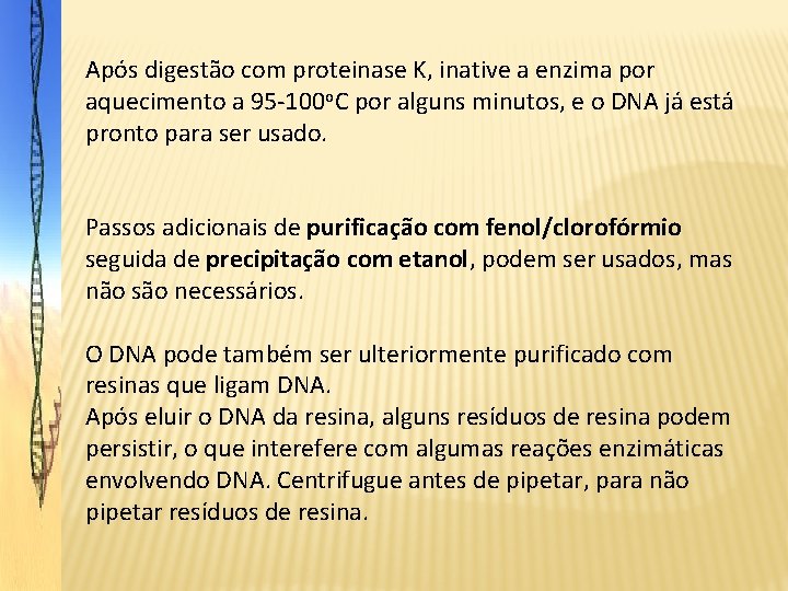 Após digestão com proteinase K, inative a enzima por aquecimento a 95 -100 o.