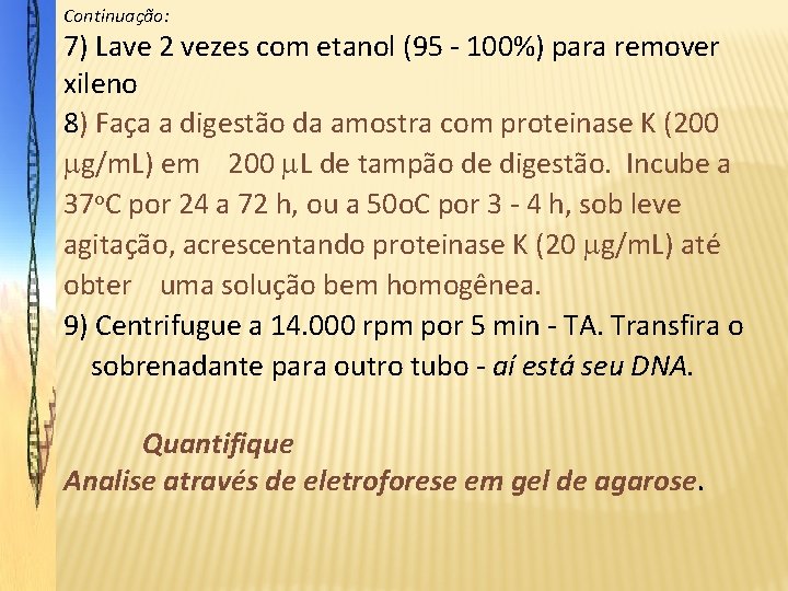 Continuação: 7) Lave 2 vezes com etanol (95 - 100%) para remover xileno 8)