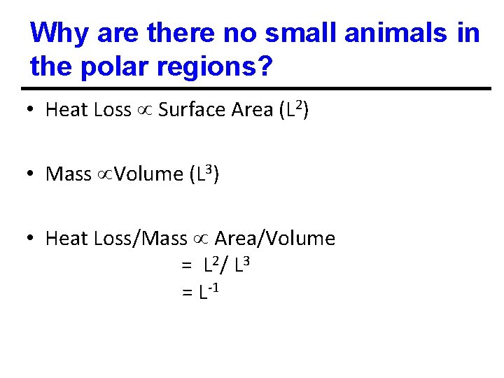 Why are there no small animals in the polar regions? • Heat Loss Surface