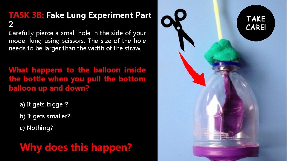 TASK 3 B: Fake Lung Experiment Part 2 Carefully pierce a small hole in