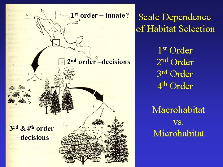 1 st order – innate? 2 nd order –decisions 3 rd &4 th order