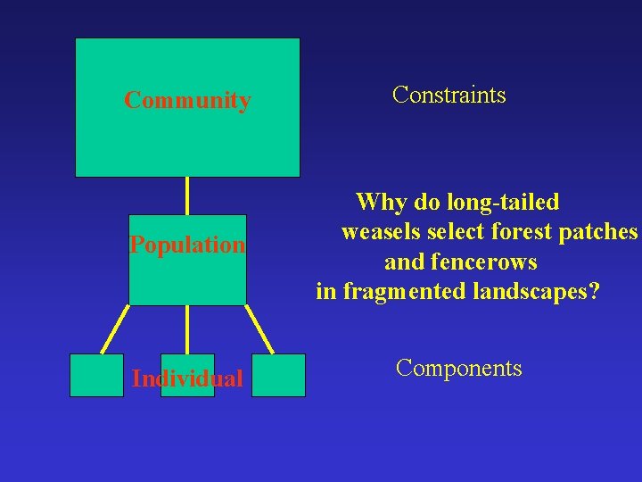 Community Population Individual Constraints Why do long-tailed weasels select forest patches and fencerows in