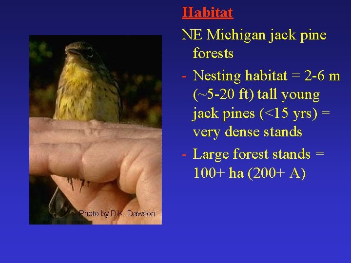 Habitat NE Michigan jack pine forests - Nesting habitat = 2 -6 m (~5