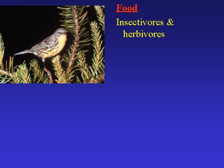Food Insectivores & herbivores 