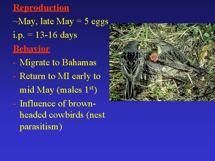 Reproduction ~May, late May = 5 eggs i. p. = 13 -16 days Behavior