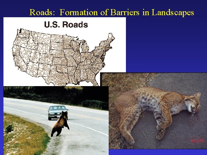 Roads: Formation of Barriers in Landscapes 