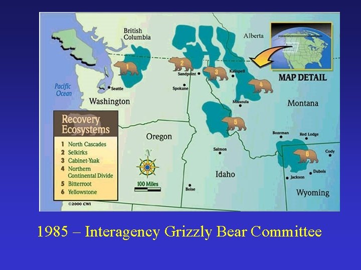 1985 – Interagency Grizzly Bear Committee 