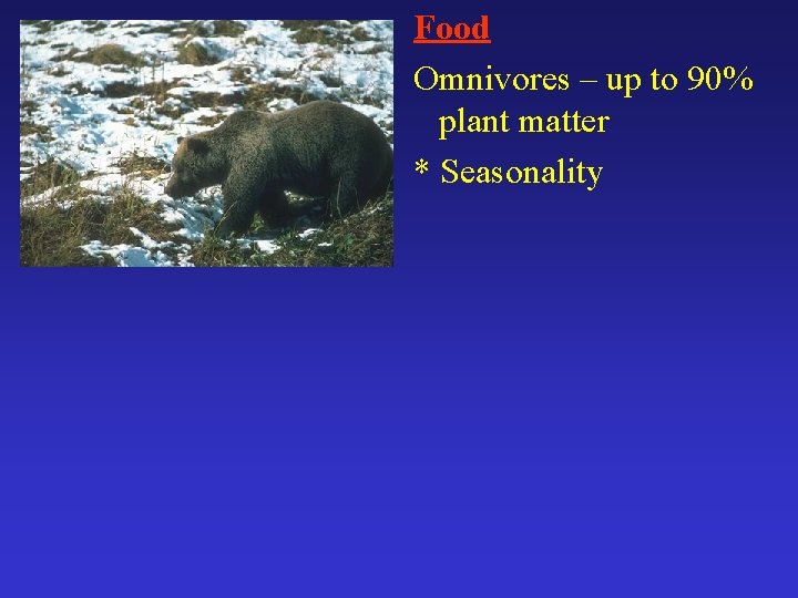 Food Omnivores – up to 90% plant matter * Seasonality 