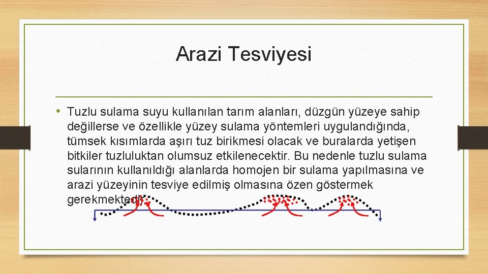 Arazi Tesviyesi • Tuzlu sulama suyu kullanılan tarım alanları, düzgün yüzeye sahip değillerse ve