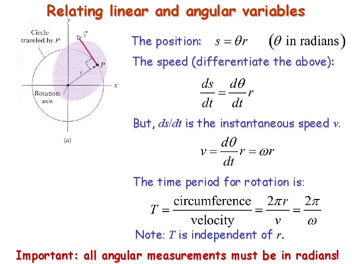 Relating linear and angular variables The position: The speed (differentiate the above): But, ds/dt