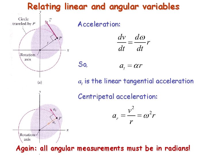 Relating linear and angular variables Acceleration: So, at is the linear tangential acceleration Centripetal