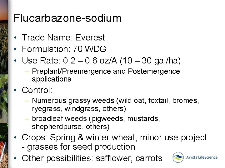 Flucarbazone-sodium • Trade Name: Everest • Formulation: 70 WDG • Use Rate: 0. 2