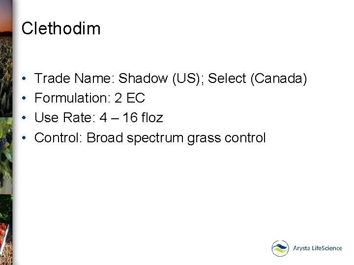 Clethodim • • Trade Name: Shadow (US); Select (Canada) Formulation: 2 EC Use Rate: