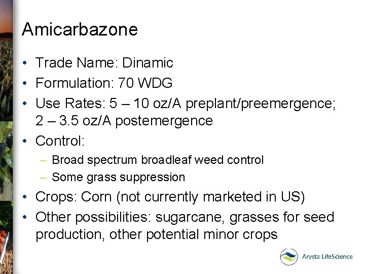 Amicarbazone • Trade Name: Dinamic • Formulation: 70 WDG • Use Rates: 5 –
