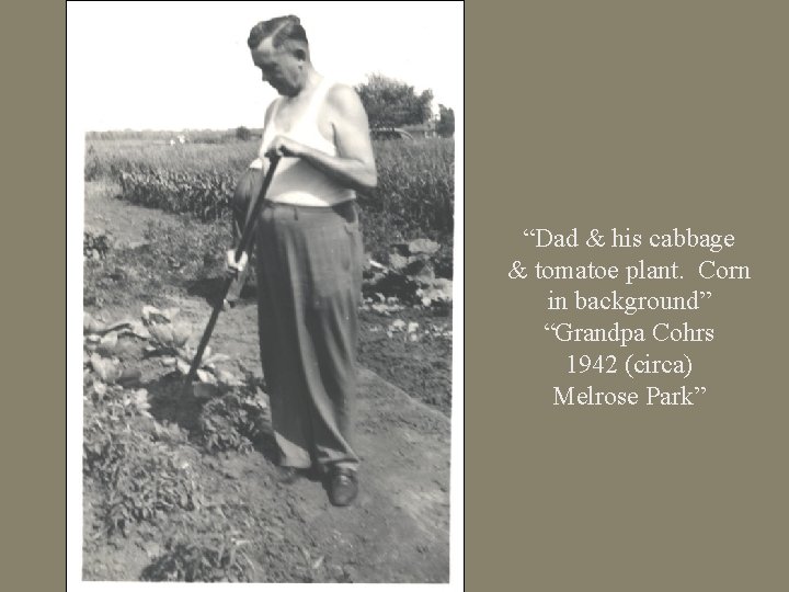 “Dad & his cabbage & tomatoe plant. Corn in background” “Grandpa Cohrs 1942 (circa)