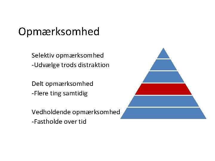 Opmærksomhed Selektiv opmærksomhed -Udvælge trods distraktion Delt opmærksomhed -Flere ting samtidig Vedholdende opmærksomhed -Fastholde