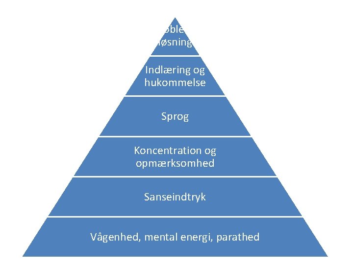 Problemløsning Indlæring og hukommelse Sprog Koncentration og opmærksomhed Sanseindtryk Vågenhed, mental energi, parathed 