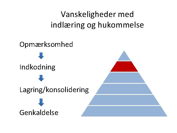 Vanskeligheder med indlæring og hukommelse Opmærksomhed Indkodning Lagring/konsolidering Genkaldelse 