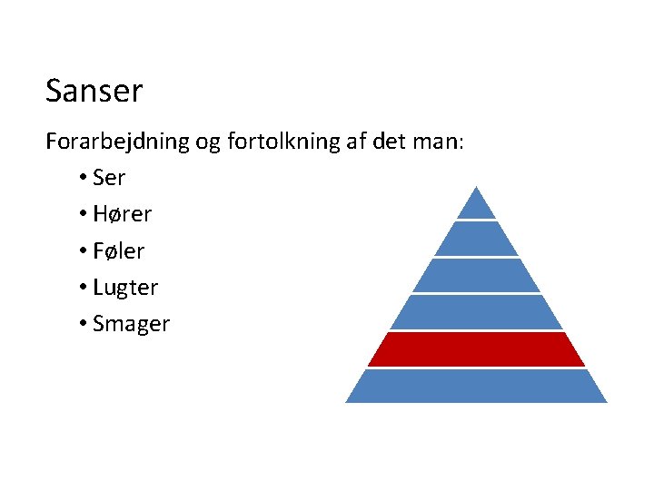 Sanser Forarbejdning og fortolkning af det man: • Ser • Hører • Føler •