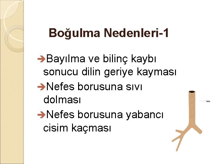 Boğulma Nedenleri-1 èBayılma ve bilinç kaybı sonucu dilin geriye kayması èNefes borusuna sıvı dolması