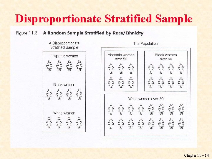 Disproportionate Stratified Sample Chapter 11 – 14 