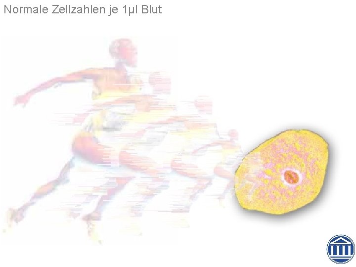 Normale Zellzahlen je 1µl Blut 