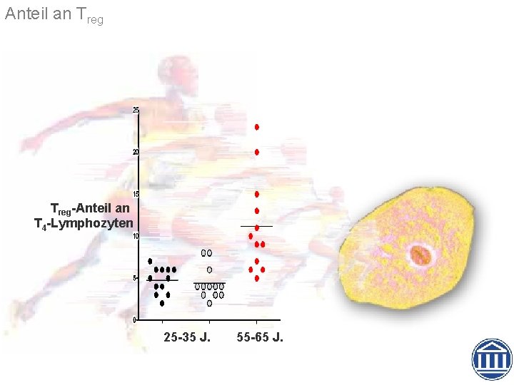 Anteil an Treg-Anteil an T 4 -Lymphozyten 25 -35 J. 55 -65 J. 