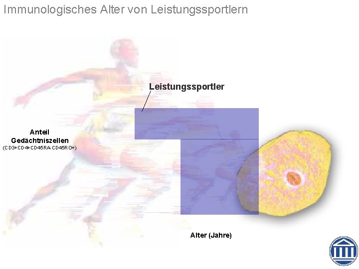 Immunologisches Alter von Leistungssportler Anteil Gedächtniszellen (CD 3+CD 45 RA-CD 45 RO+) Alter (Jahre)