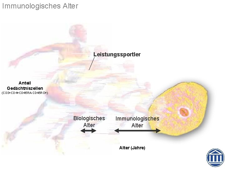 Immunologisches Alter Leistungssportler Anteil Gedächtniszellen (CD 3+CD 45 RA-CD 45 RO+) Biologisches Alter Immunologisches