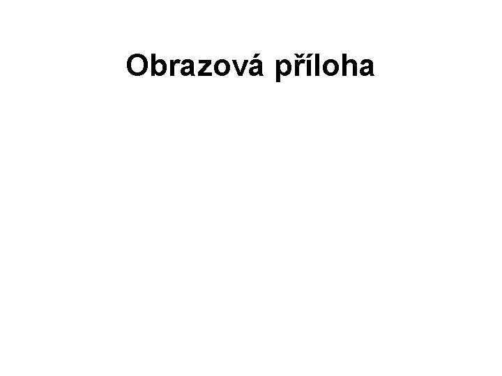 Obrazová příloha 