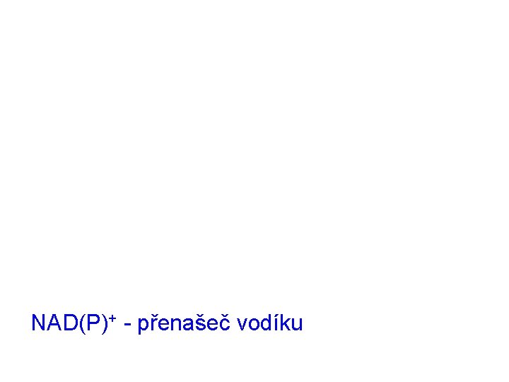 NAD(P)+ - přenašeč vodíku 