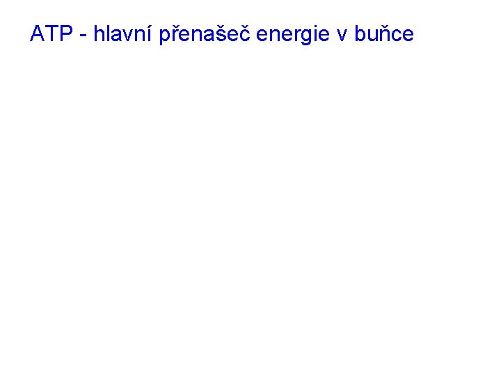 ATP - hlavní přenašeč energie v buňce 