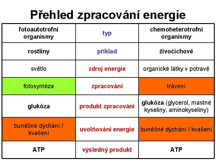 Přehled zpracování energie fotoautotrofní organismy typ chemoheterotrofní organismy rostliny příklad živočichové světlo zdroj energie
