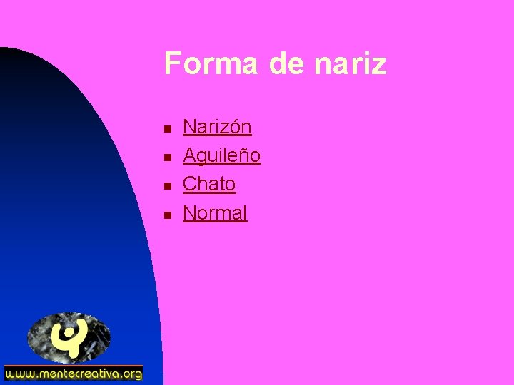 Forma de nariz n n Narizón Aguileño Chato Normal 