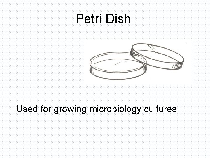 Petri Dish Used for growing microbiology cultures 