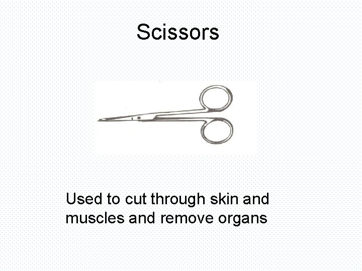 Scissors Used to cut through skin and muscles and remove organs 